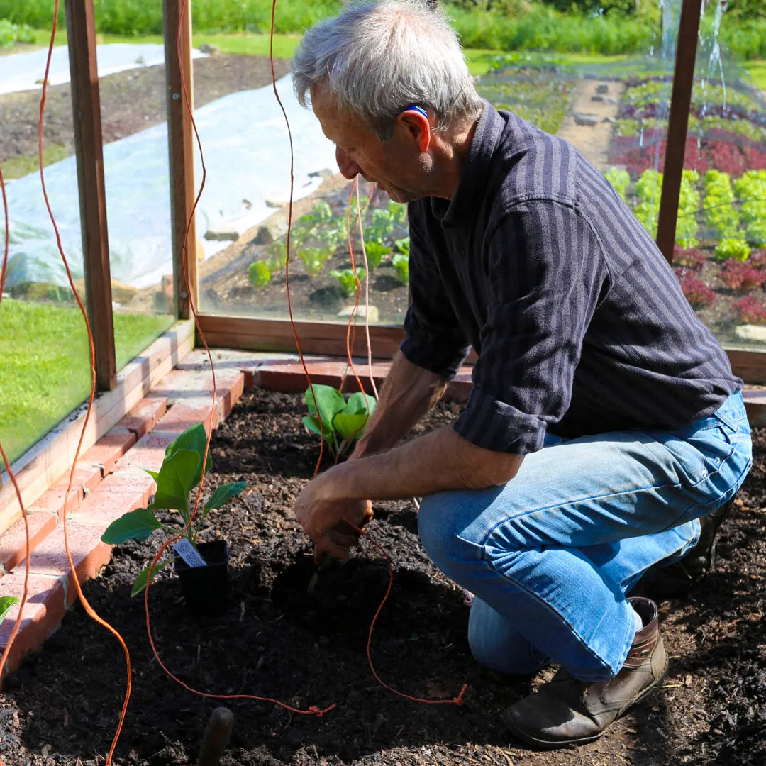 Skills for Growing - Online Course - Image 5