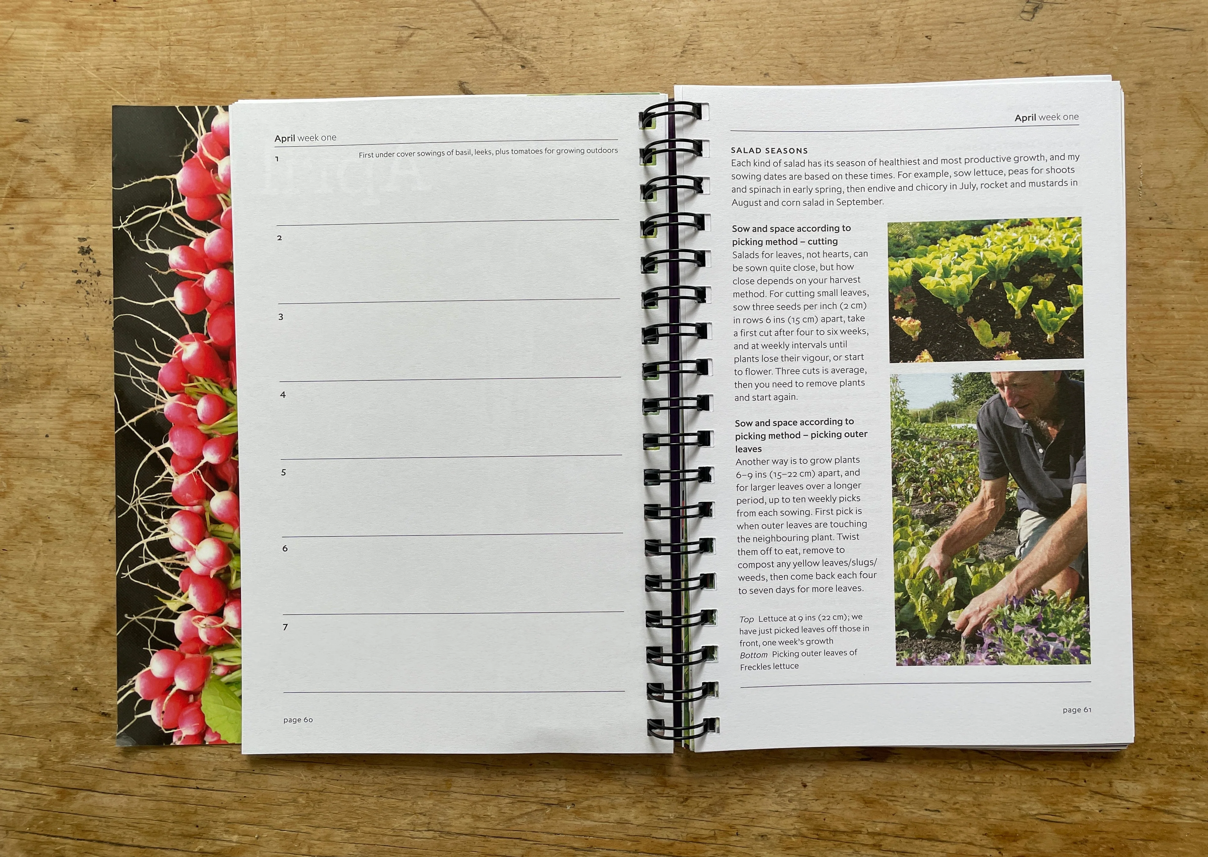 Charles Dowding's Vegetable Garden Diary: No Dig, Healthy Soil, Fewer Weeds - Image 4
