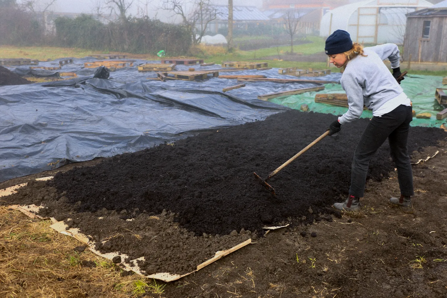 El cultivo no dig para principiantes: curso en línea - Image 9