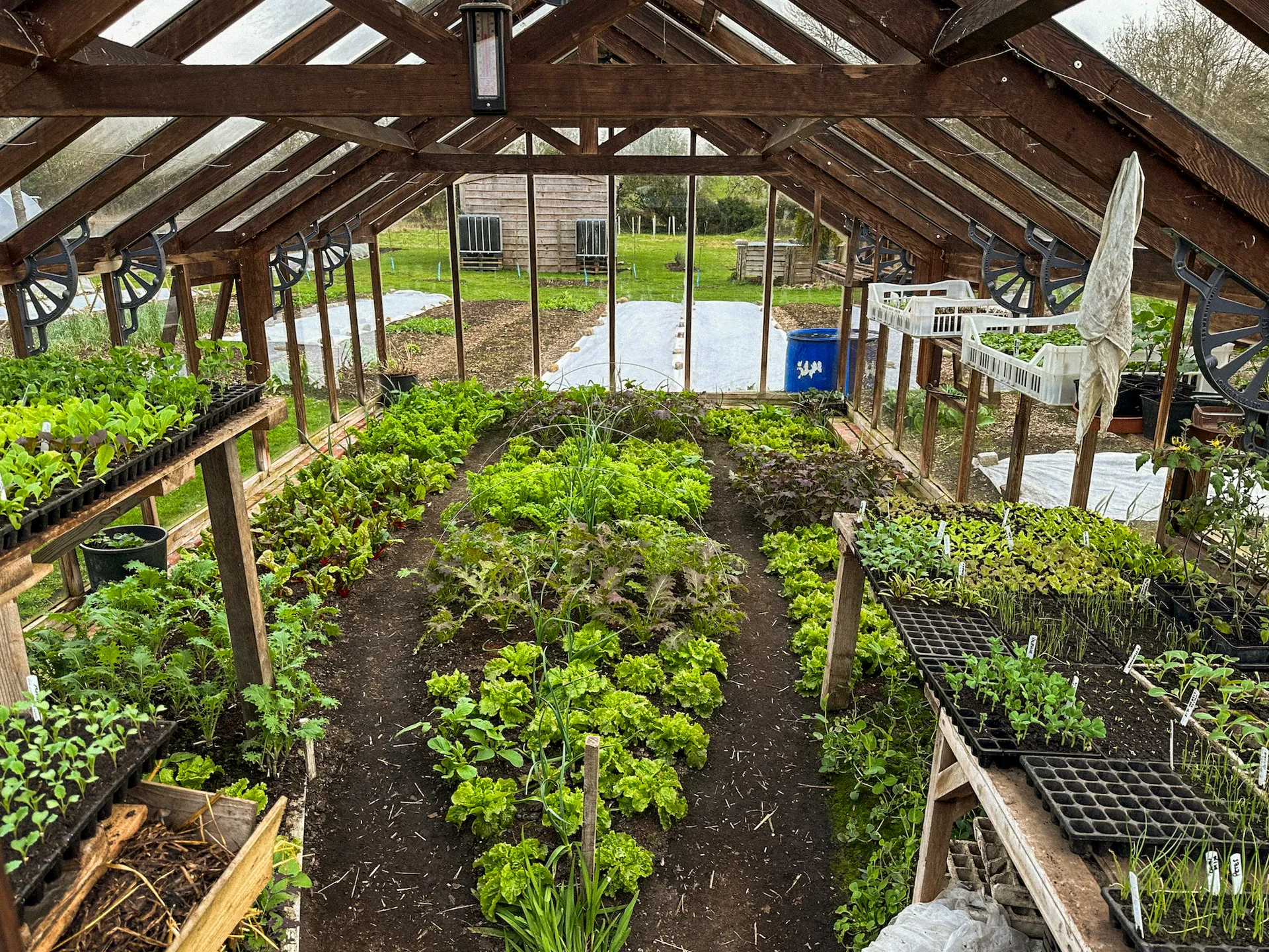 *NEW! Greenhouse & Polytunnel Growing – Online Course - Image 3