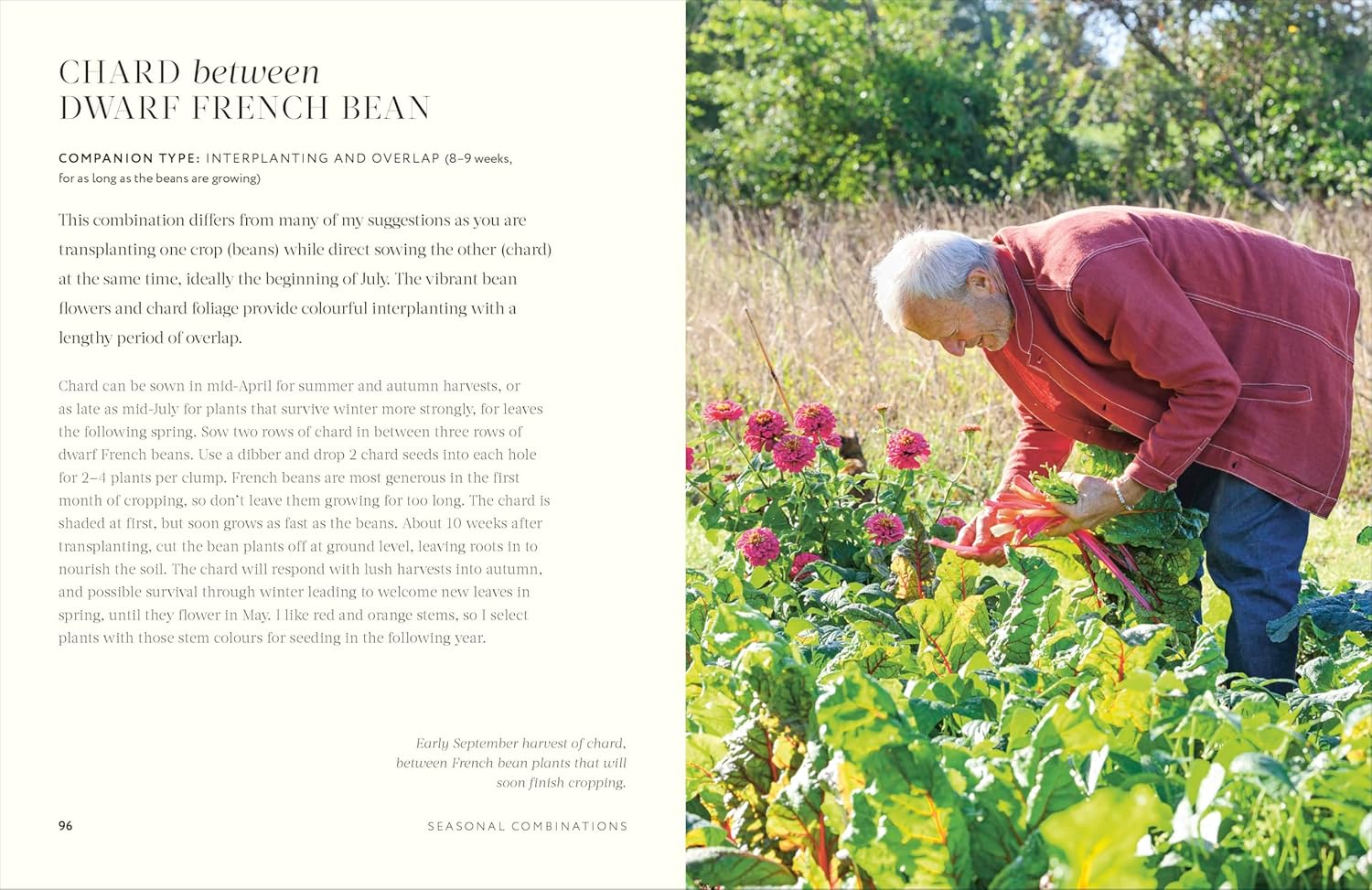 Grow Together: 50 planting partnerships to boost your harvests - Image 4