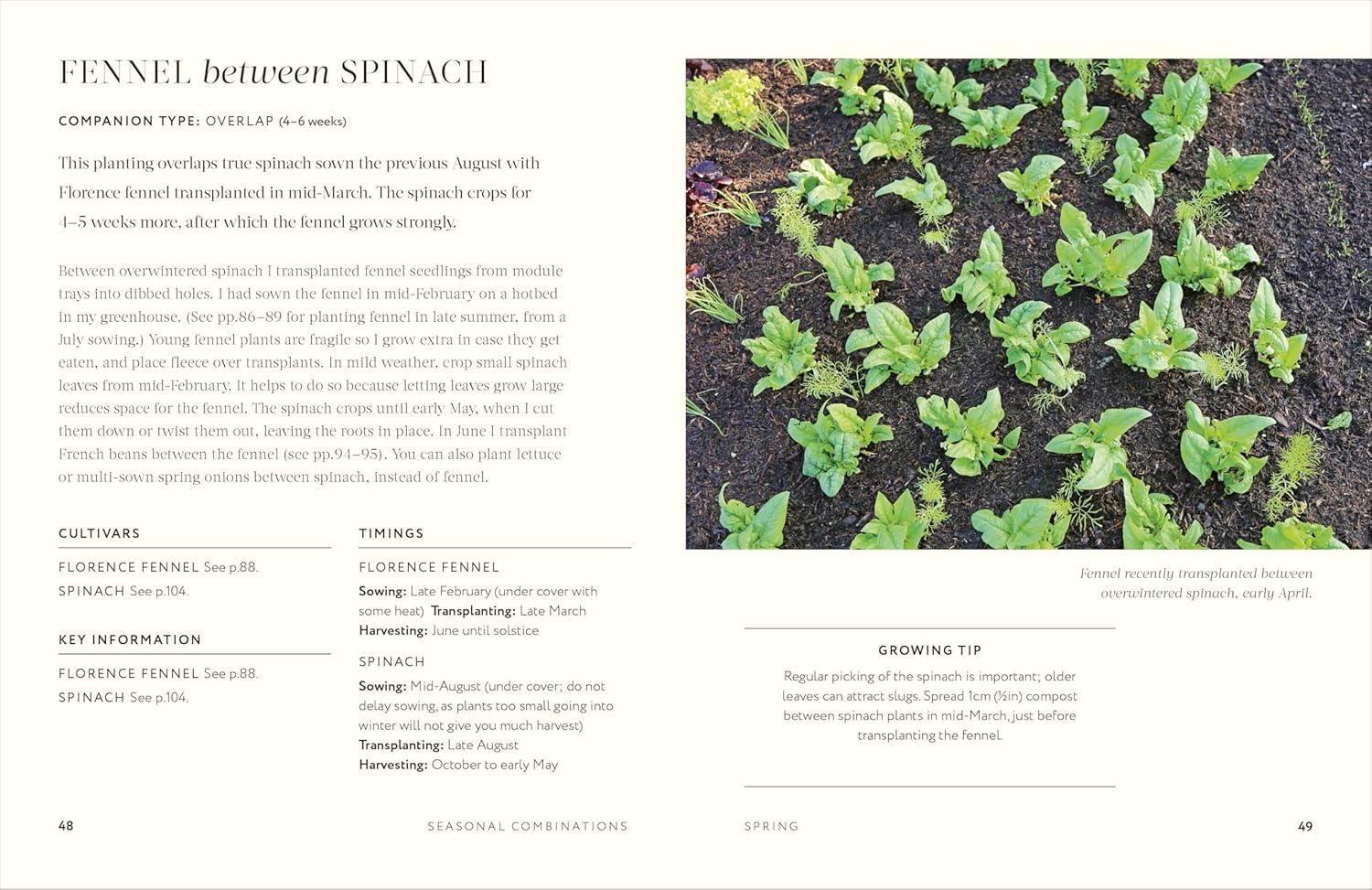 Grow Together: 50 planting partnerships to boost your harvests - Image 9